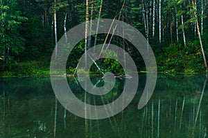 Beautiful calm lake and dark emerald forest