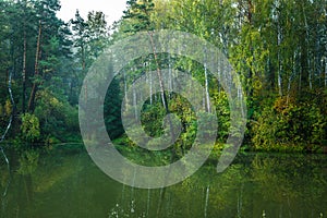 Beautiful calm lake and dark forest ashore