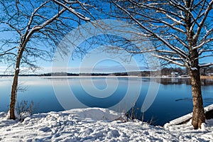 Beautiful calm and tranquil winter landscape scene with snowy tree and lake with blue sky horizon.