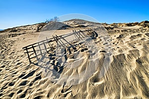 Beautiful calm view of nordic sand dunes and protective fences at Curonian spit, Nida, Klaipeda, Lithuania. Buried wood