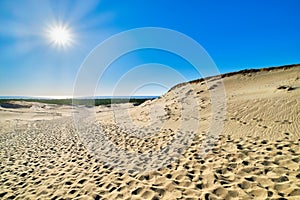 Beautiful calm view of nordic sand dunes and protective fences at Curonian spit, Nida, Klaipeda, Lithuania. Buried wood