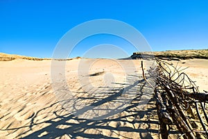 Beautiful calm view of nordic sand dunes and protective fences at Curonian spit, Nida, Klaipeda, Lithuania. Buried wood