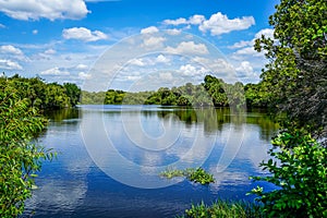 Beautiful Calm Waters of the Myakka River