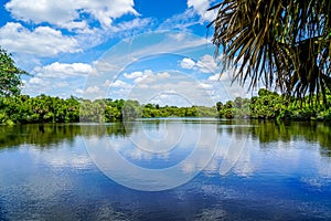 Beautiful Calm Waters of the Myakka River