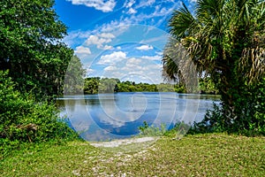 Beautiful Calm Waters of the Myakka River