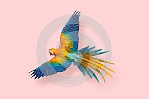 Beautiful of Camelot macaw flying against a pink background.