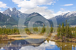 Beautiful Canadian Landscape with Mountains, Lake and Fir Trees