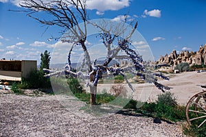 beautiful capadocia tree hung with glass amulets from the evil eye