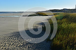 Beautiful cape cod beach with flowing beach grass