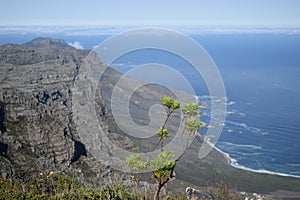 Beautiful Cape Town coast, Southafrica