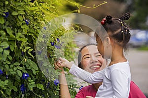 beautiful carefree asian girl and mom playing outdoors in garden. little child picking up pea butterfly flowers