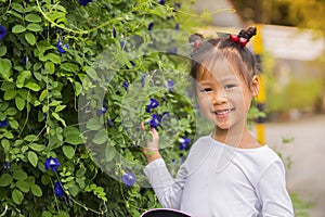 beautiful carefree asian girl playing outdoors in field with high green grass. little child picking up pea butterfly flowers