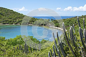 Beautiful Caribbean bay and landscape