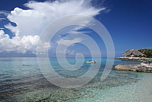 Beautiful Caribbean Beach