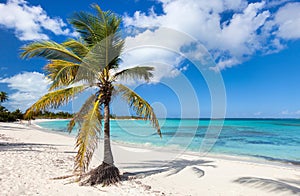 Beautiful Caribbean beach