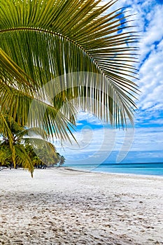 Beautiful caribbean beach, Dominican Republic.