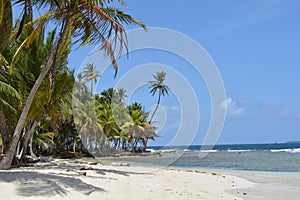 Beautiful caribbean beach of a San Blas island, in PanamÃÂ¡ photo