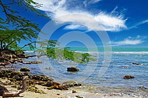 Beautiful caribbean coast landscape with green tree, sea horizon, blue sky, stones - treasure beach, Jamaica