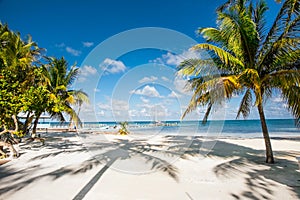 Beautiful caribbean sight with turquoise water in Caye Caulker,