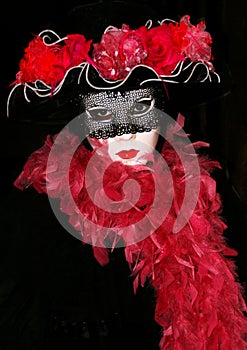 Beautiful carnival mask