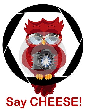 A beautiful cartoon red owl with a camera sits on the camera\'s diaphragm. Concept photography, vocations, photo business