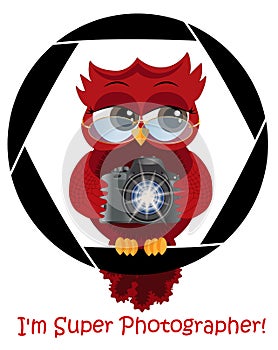 A beautiful cartoon red owl with a camera sits on the camera\'s diaphragm. Concept photography, vocations, photo business