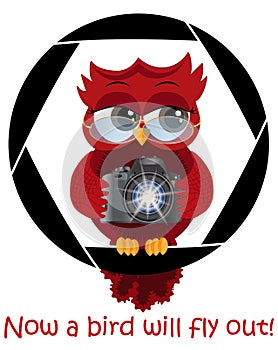 A beautiful cartoon red owl with a camera sits on the camera\'s diaphragm. Concept photography, vocations, photo business