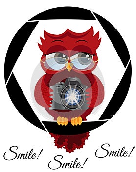 A beautiful cartoon red owl with a camera sits on the camera\'s diaphragm. Concept photography, vocations, photo business