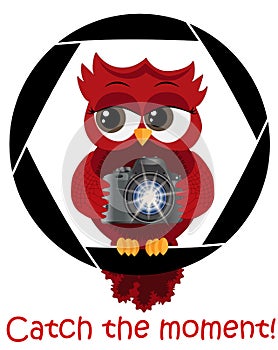 A beautiful cartoon red owl with a camera sits on the camera\'s diaphragm. Concept photography, vocations, photo business