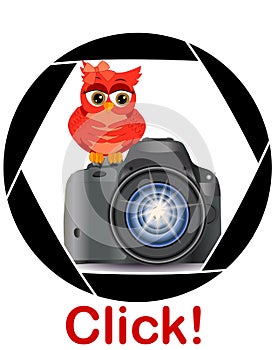 Beautiful cartoon red owl sits on the button Start the camera in the frame of the camera's aperture. Concept photography,