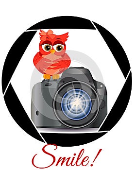 Beautiful cartoon red owl sits on the button Start the camera in the frame of the camera\'s aperture. Concept photography,