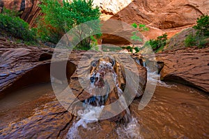 Beautiful Cascade in Coyote Gulch