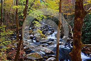 A Beautiful Cascade in the Great Smoky Mountains