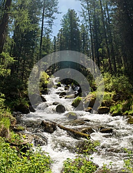 Beautiful cascade of small mountain river at the deep Siberian forest