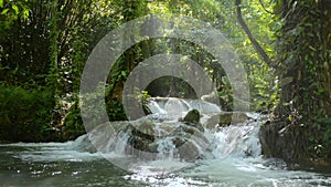 Beautiful cascade with stream flowing over the rocks among lush foliage woodland under morning sunbeam.