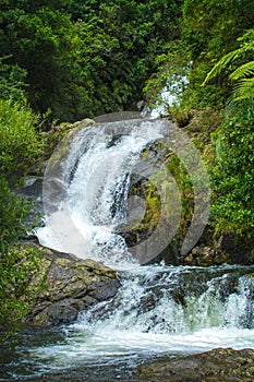 Beautiful cascade waterfall hidden in a forest. Adventure and travel concept. Nature background. Kaiate Falls, Bay of