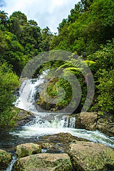 Beautiful cascade waterfall hidden in a forest. Adventure and travel concept. Nature background. Kaiate Falls, Bay of