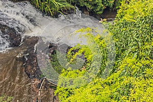 Beautiful cascading Datanla waterfall In the mountain town Dalat, Vietnam