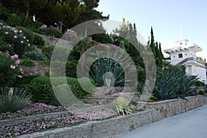 Beautiful cascading flower bed with a variety of green decorative plants, shrubs and palm trees