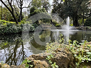 Beautiful cascading fountain in a garden pond surrounded by green trees. Concept of relaxation and happiness
