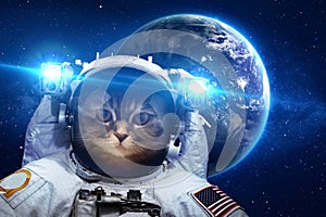 Hermoso gato en espacio cósmico 