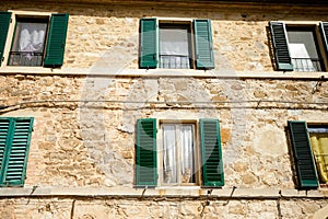 Beautiful cats in Montalcino, Tuscany