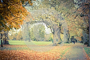 Beautiful caucasian elderly couple in the park in autumn