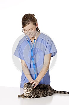 Beautiful Caucasian woman Veterinarian examining a kitten