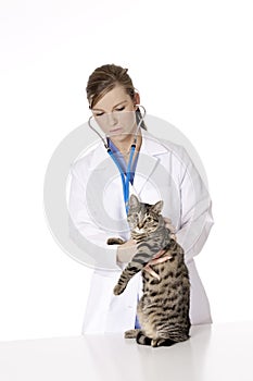 Beautiful Caucasian woman Veterinarian examining a kitten