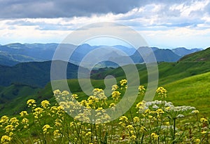 Beautiful Caucasus mountain landscape with a rocky ridge