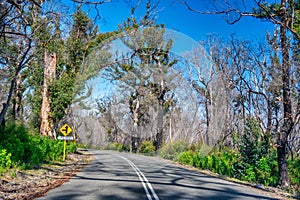 Beautiful Caves Road in spring season, Western Australia