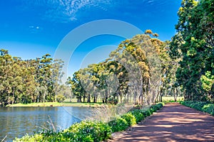 Beautiful Caves Road in spring season, Western Australia