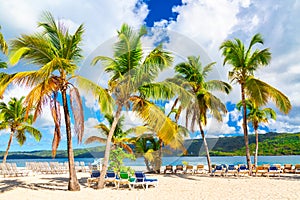 Beautiful Cayo Levantado island beach with palms. Samana, Dominican Republic. Vacation travel background