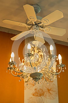 Beautiful ceiling fan